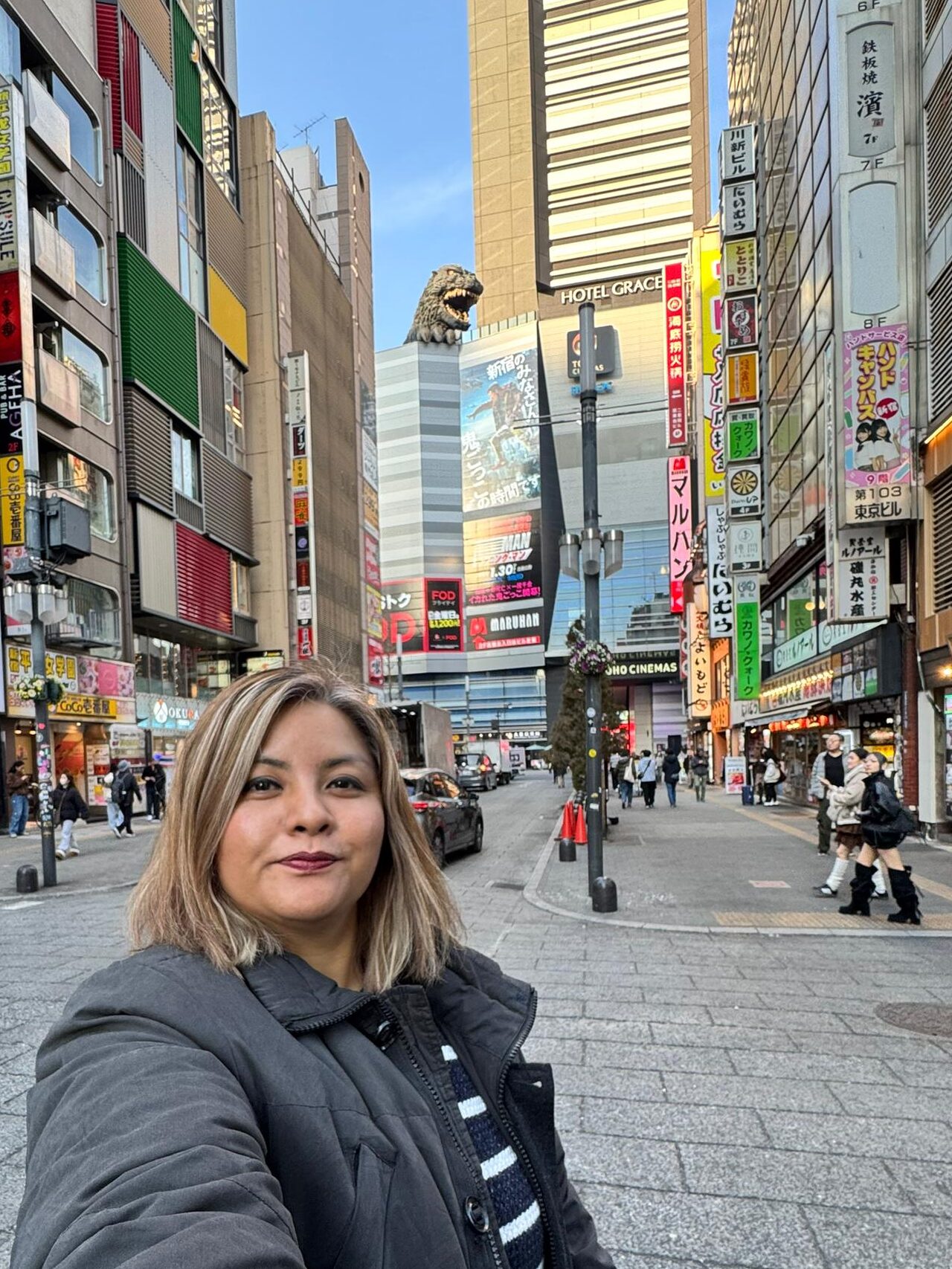 Godzilla Head, Shinjuku